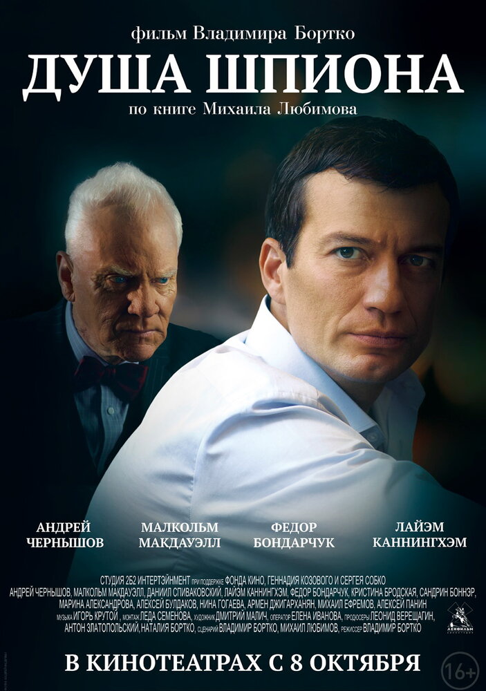 Душа шпиона (2014)