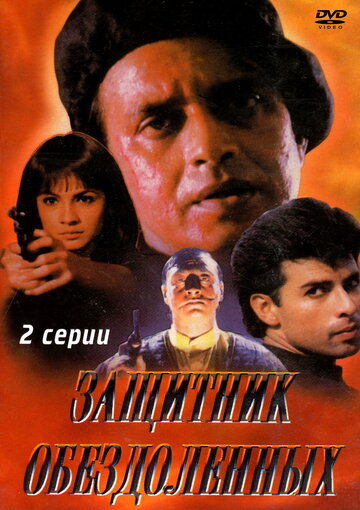 Защитник обездоленных (1994)